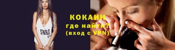крисы Лагань