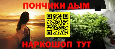 шишки Будённовск