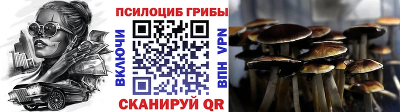 Псилоцибиновые грибы мухоморы  Шали 