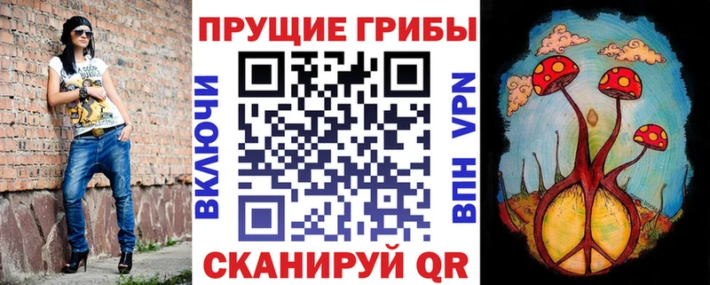 Псилоцибиновые грибы Psilocybe Шали