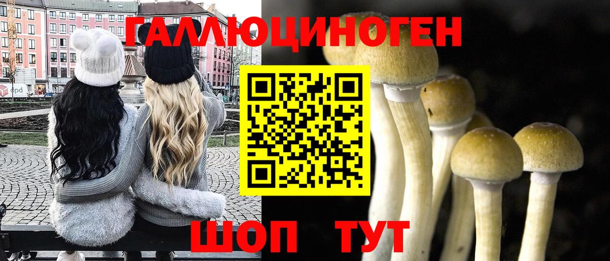 Галлюциногенные грибы ЛСД  продажа наркотиков  Псилоцибиновые грибы мухоморы  Шали  Вход с VPN 