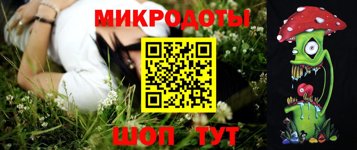 Галлюциногенные грибы Psilocybe Шали